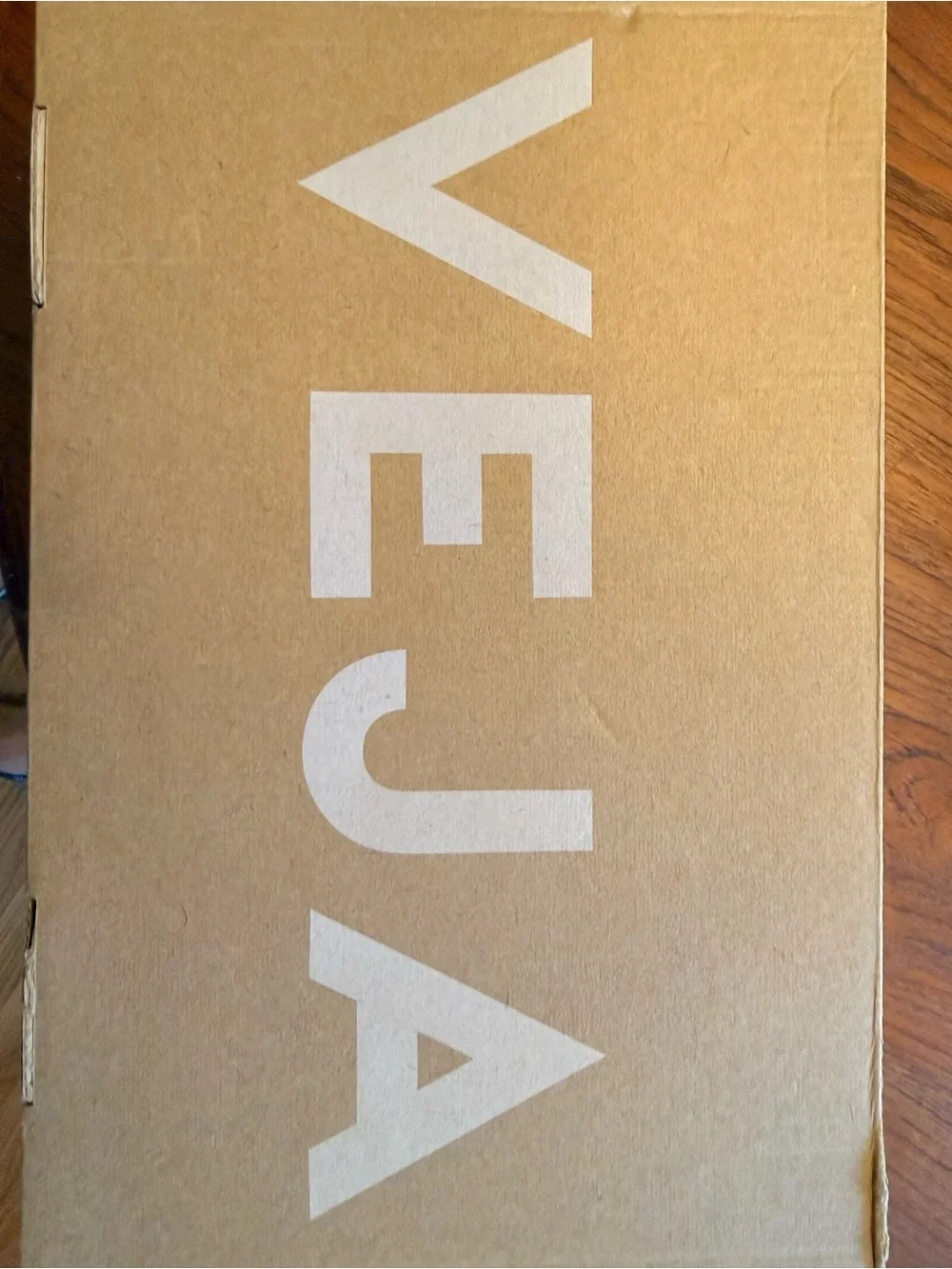 Veja elevated suede